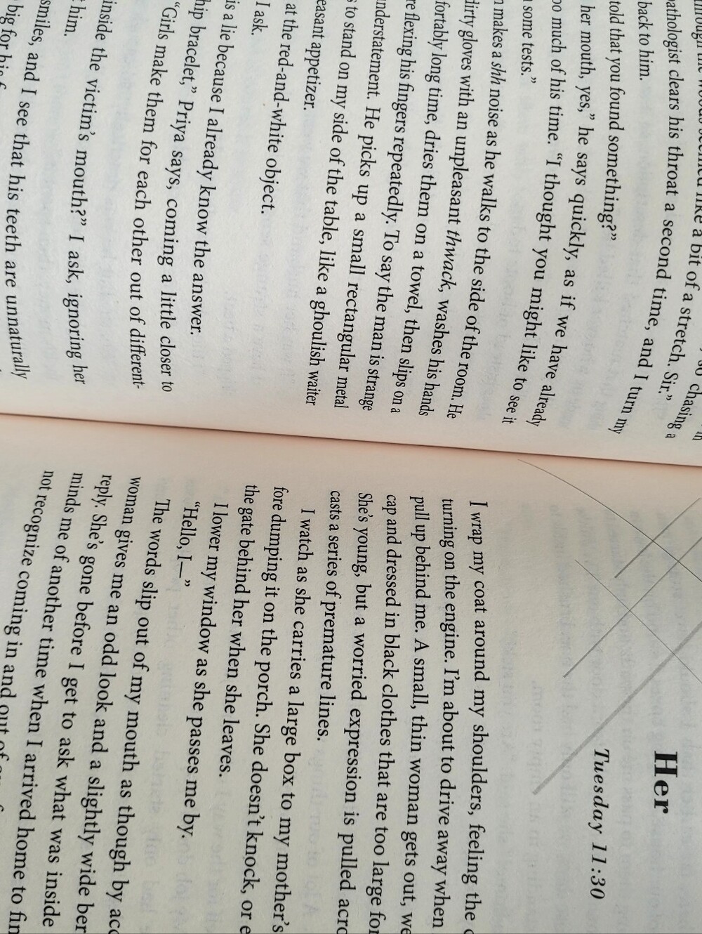 Alice Feeney — His & Hers (Black with Red Accent) Hardcover Book - Picture 4 of 11